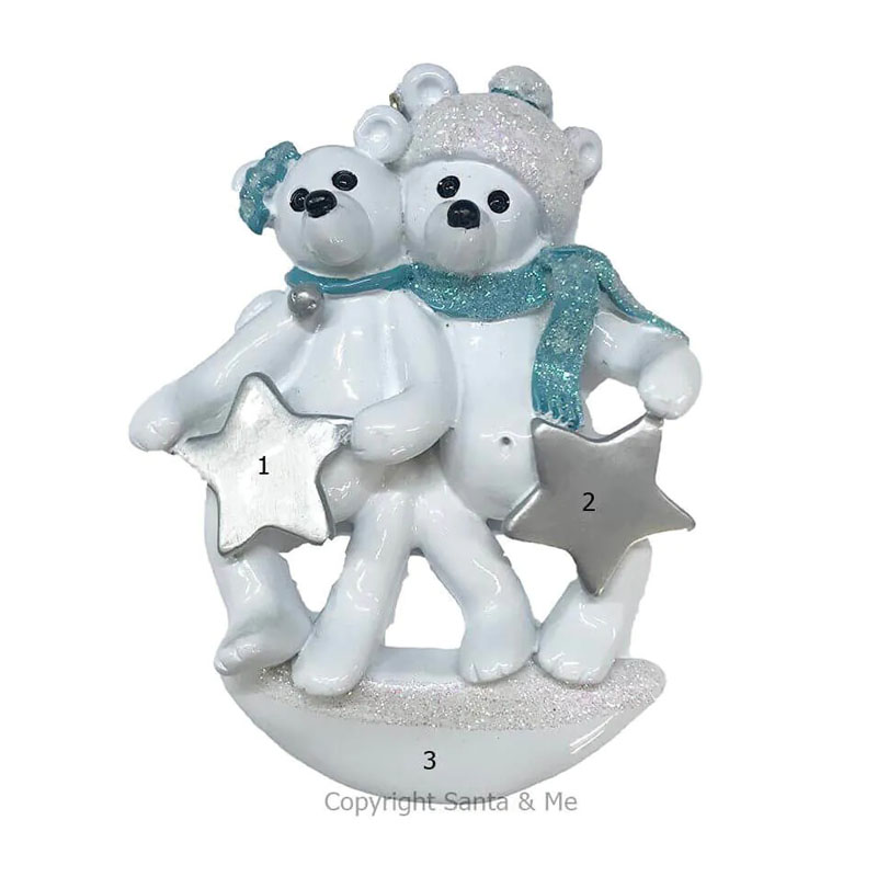 Polar bear family of 2