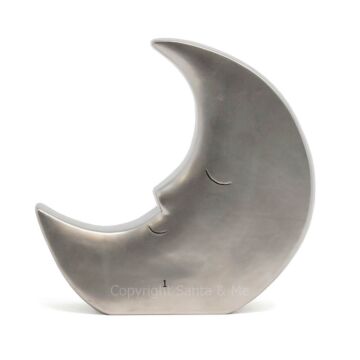 Silver Moon  - Money Bank