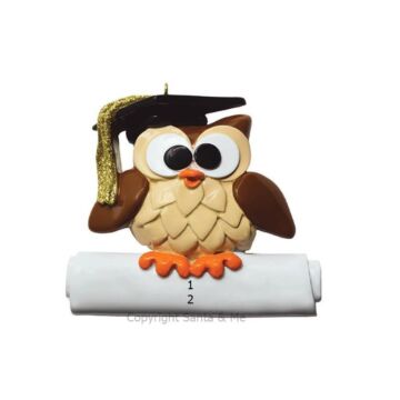 Wise Owl