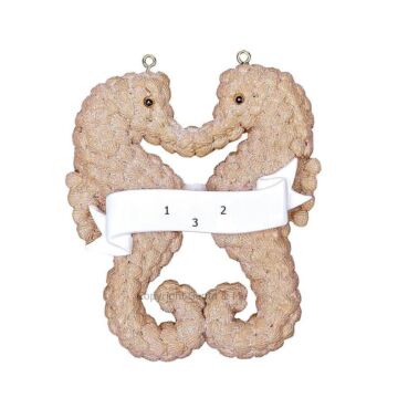 Sea Horse Couple