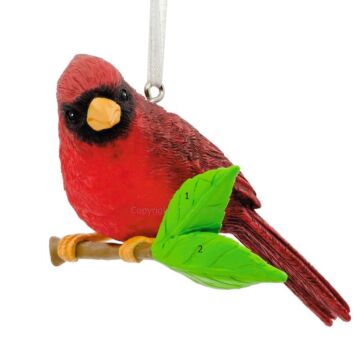 Cardinal Bird - 1HGO2119 - Santa & Me