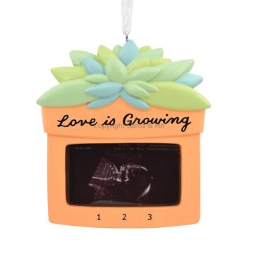 Sonogram