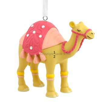 Camel