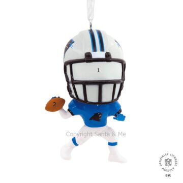 Carolina Panthers