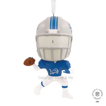 Detroit Lions