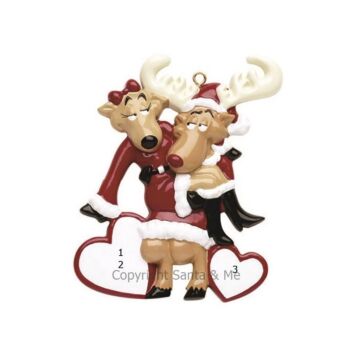Santa Deer Couple