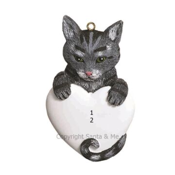 Tabby/ Grey
