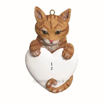 Tabby/ Orange