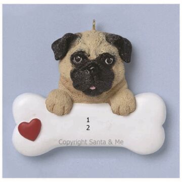 Pug /Brown