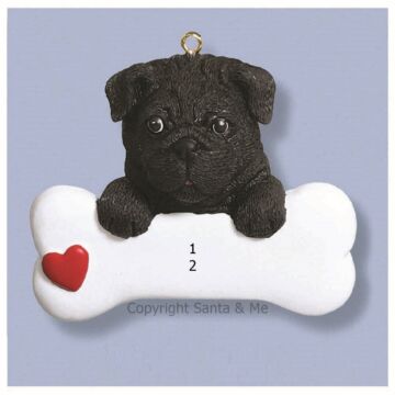 Pug/ Black