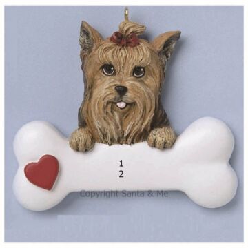 Yorkie