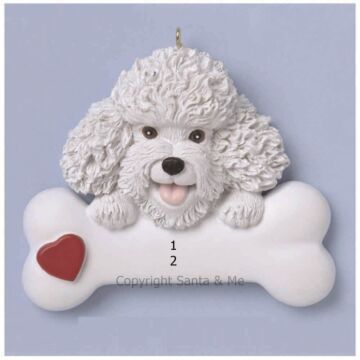 Bichon Frise