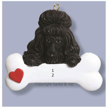 Poodle/ Black