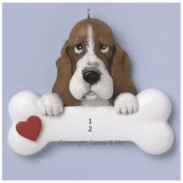 Basset Hound