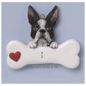 Boston Terrier