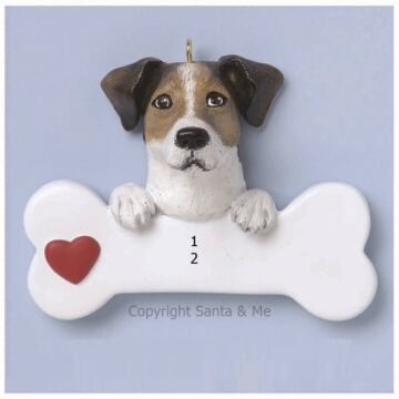 Jack Russell Terrier