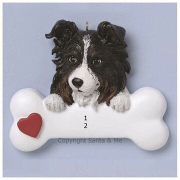 Australian Sheepdog