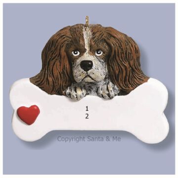 King Charles Spaniel