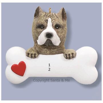 Pit Bull
