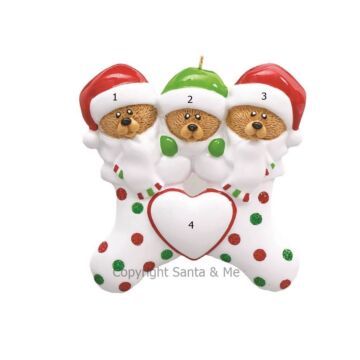 Bear Stocking Family /3