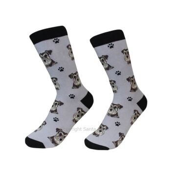Schnauzer /Socks