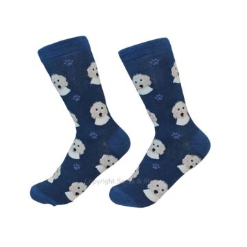 Goldendoodle /Socks - 800-134-Gold - Santa & Me