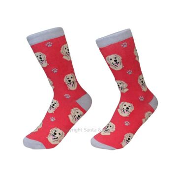 Golden Retriever /Socks - 800-15-Golde - Santa & Me