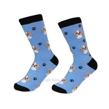 Cavalier King Charles /Socks - 800-18-Caval - Santa & Me