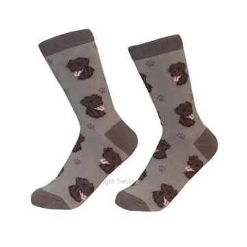 Labrador Chocolate /Socks - 800-22-Labra - Santa & Me