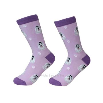 Maltese /Socks - 800-24-Malte - Santa & Me