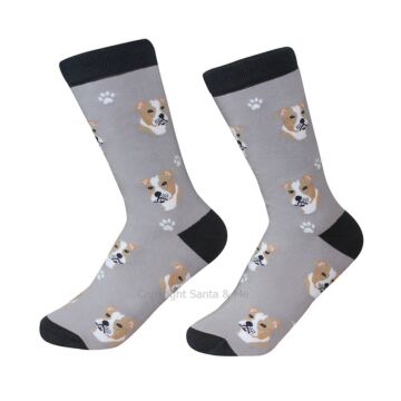 Pit Bull /Socks - 800-26-PitBu - Santa & Me