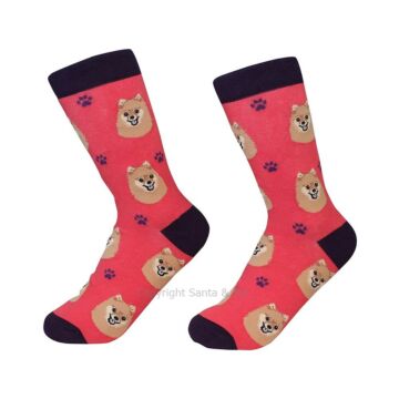 Pomeranian /Socks - 800-27-Pomer - Santa & Me