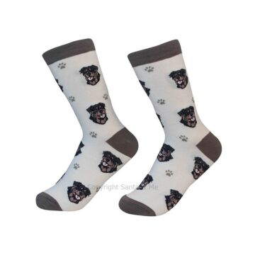 Rottweiler /Socks - 800-33-Rottw - Santa & Me