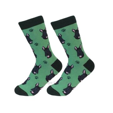 Scottie /Socks - 800-35Scotti - Santa & Me