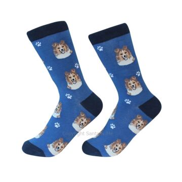 Sheltie /Socks - 800-37Shelti - Santa & Me