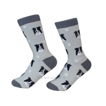 Border Collie /Socks - 800-5-Border - Santa & Me