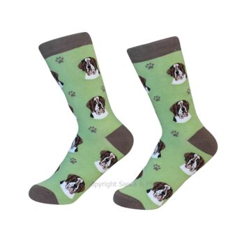 Saint Bernard /Socks - 800-50-StBer - Santa & Me