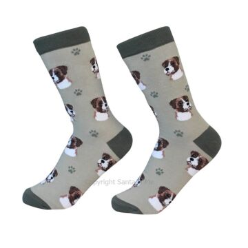 Boxer /Socks - 800-6-BoxerS - Santa & Me