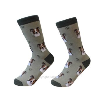 Papillon /Socks - 800-63-Papil - Santa & Me