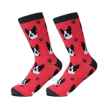 Boston Terrier /Socks - 800-76-Bosto - Santa & Me
