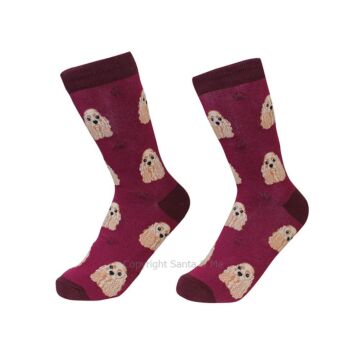 Cocker Spaniel /Socks - 800-78Cocker - Santa & Me