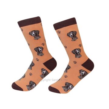German Shorthaired Pointer /Socks - 800-83-Germa - Santa & Me