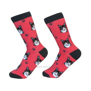 Black And White Cat /Socks - 801-3-BandWC - Santa & Me