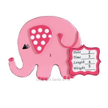 Baby Elephant /Girl