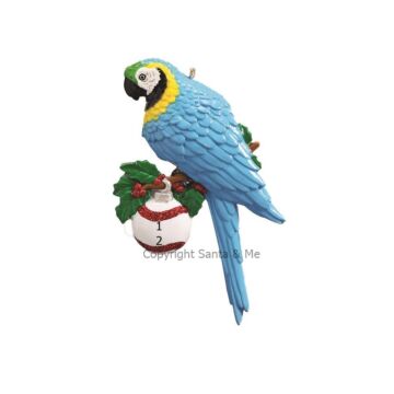 Blue /Gold Macaw