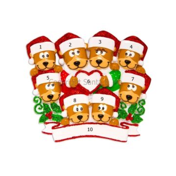 Brown Bear Family /8