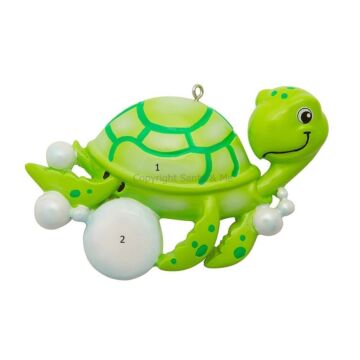 Sea Turtle