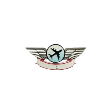 Airplane Wings