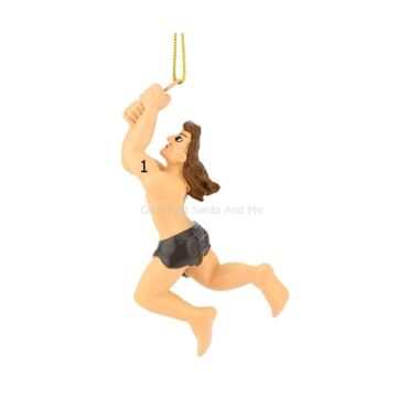Swinging Tarzan
