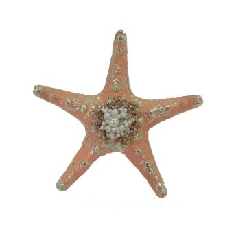 Peach Sea Star - Glass